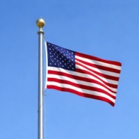 50 ft. Light Commercial Aluminum Flag Pole - FREE COMMERCIAL SHIPPING! 